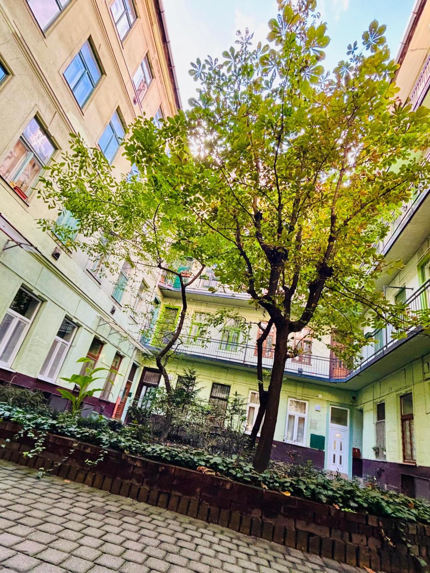 Ava Central Residence Budapeste Exterior foto